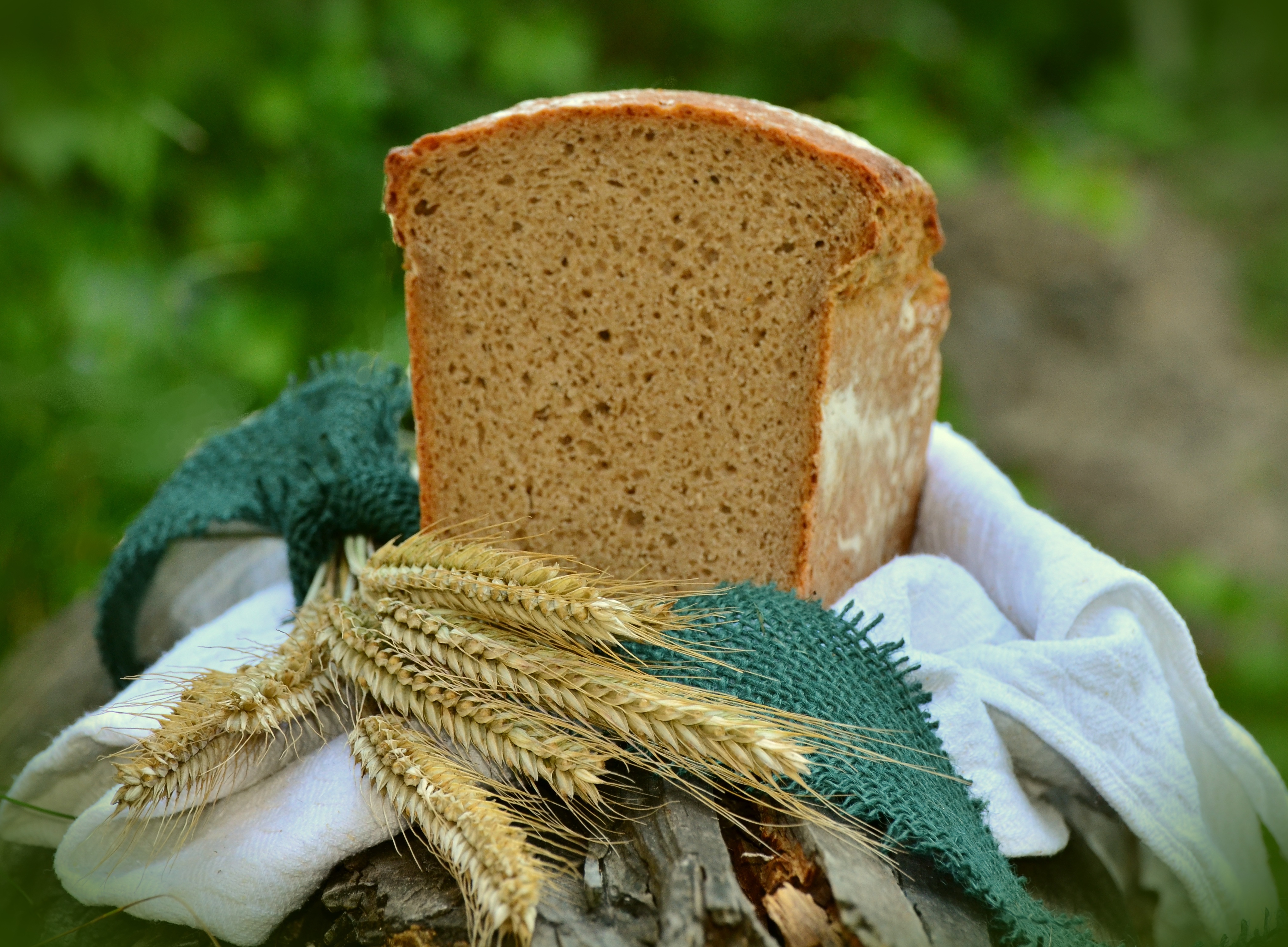 IdeenSet Vom Korn zum Brot | PHBern