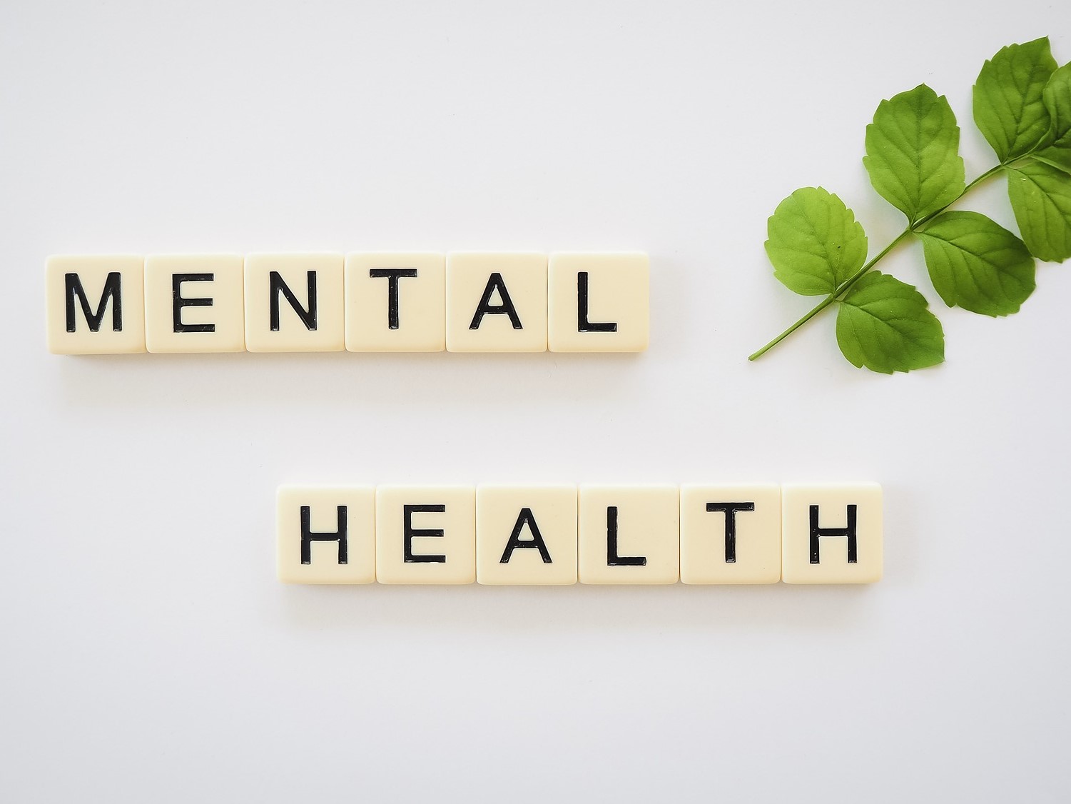 Mental health