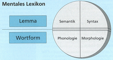 Zwei Ebenen-Modell des mentalen Lexikons