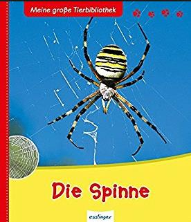 IdeenSet 4bis8 TiereUndPflanzenEntdecken Baustein3 DieSpinne