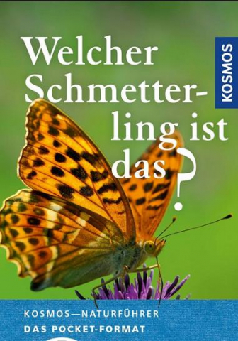 IdeenSet 4bis8 TiereUndPflanzenEntdecken Baustein5 WelcherSchmetterling