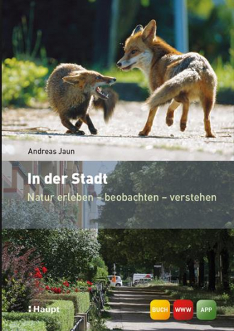 IdeenSet 4bis8 TiereUndPflanzenEntdecken Hintergrundinfo InDerStadt