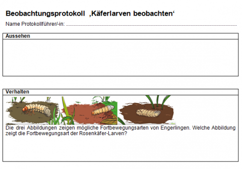 IdeenSet KaeferUndCo Experimente Einheit2