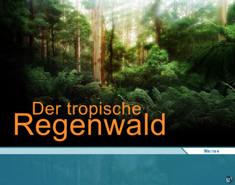 IdeenSet_Tropischer Regenwald_ Der tropische Regenwald