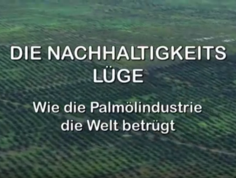 IdeenSet-Tropischer Regenwald_Die Nachhaltigkeitslüge