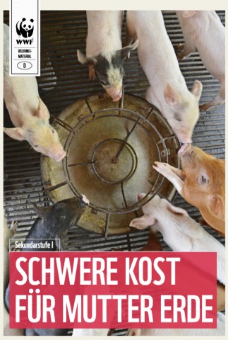 IdeenSet_Tropischer Regenwald_Schwere Kost für Mutter Erde