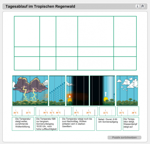 IdeenSet_Tropischer Regenwald_Der Tagesablauf im tropischen Regenwald