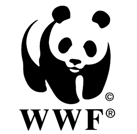 IdeenSet_Tropischer Regenwald_WWF