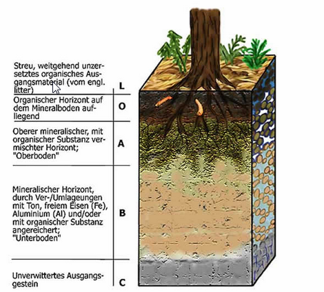 ideenset_erdboden_hypersoil-lern-und-arbeitsumgebung-zum-themenfeld-boden-im-unterricht