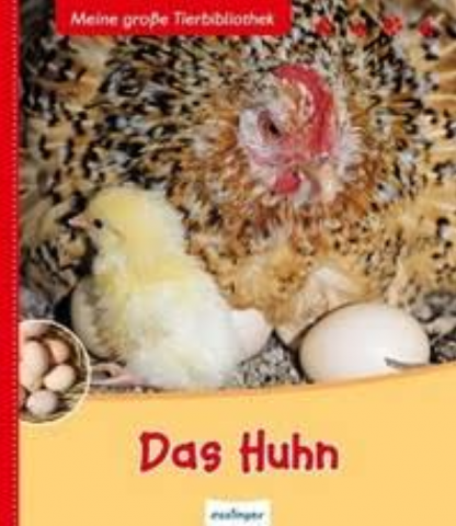 ideenset_ostern_das-huhn