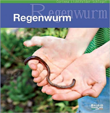 Ideenset Regenwurm Hintergrundinformation DerWahreAlchemist