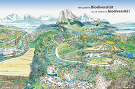 ideenset_seeland_siselenweiher_posterbiodiversitat