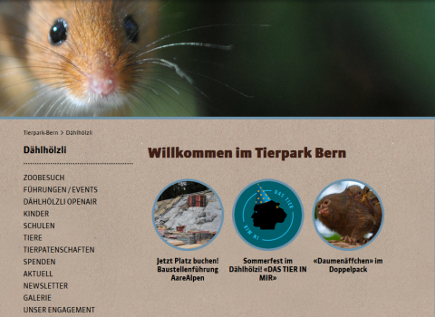ideenset_tierische-begegnungen_hintergrundinfo_lernorte_tierpark