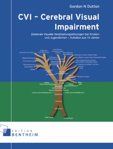 IdeenSet Buchstaben ganzheitlich lehren und lernen CVI celebral visual impairment