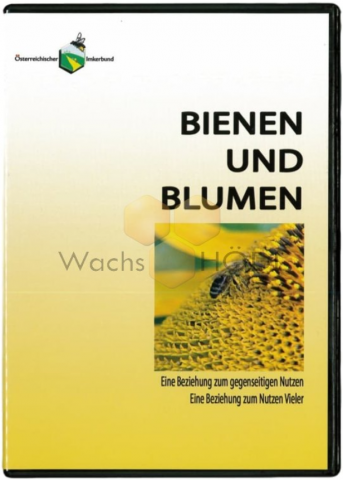 ideenset_faszination-honigbiene_-bienen-und-blumen