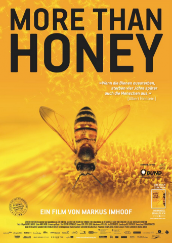 ideenset_faszination-honigbiene_-more-than-honey