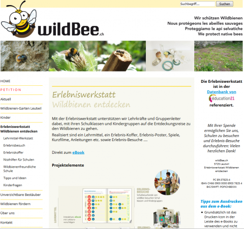 ideenset_faszination-honigbiene_wildbee