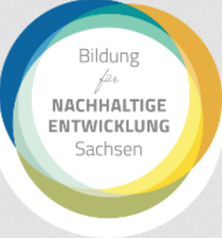 Gewinner Und Verlierer Phbern