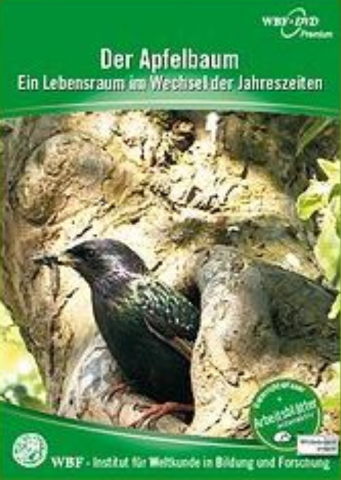 ideenset_herbstzeit_-der-apfelbaum-ein-lebensraum-im-wechsel-der-jahreszeiten