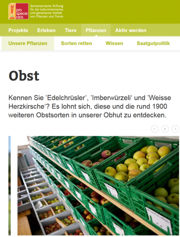 ideenset_herbstzeit_-obstvielfalt