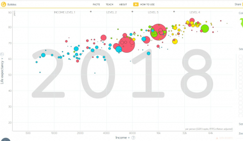 Screenshot Website Gapminder