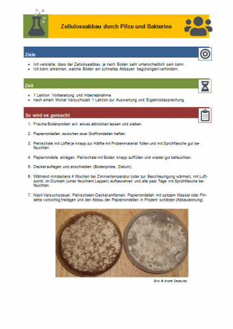 ideenset_boden_zelluloseabbaudurchpilzeundbakterien