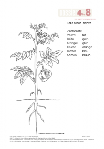 ideenset_dossier4bis8_tiereundpflanzenentdecken_-kopiervorlagemeinpflanzenbuch