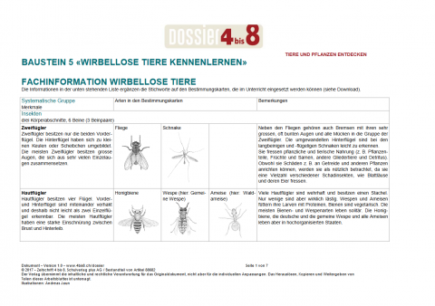 ideenset_dossier4bis8_tiereundpflanzenentdecken_fachinformationwirbellosetier