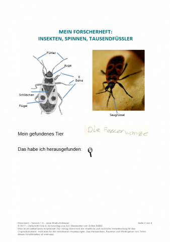 ideenset_dossier4bis8_tiereundpflanzenentdecken_forscherheftkleinetiere