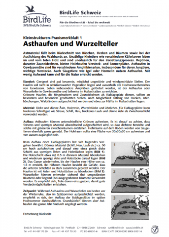 ideenset_dossier4bis8_tiereundpflanzenentdecken_kleinstrukturenpraxismerkblatt1