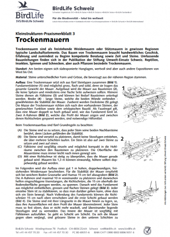 ideenset_dossier4bis8_tiereundpflanzenentdecken_kleinstrukturenpraxismerkblatt3