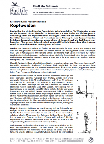 ideenset_dossier4bis8_tiereundpflanzenentdecken_kleinstrukturenpraxismerkblatt5