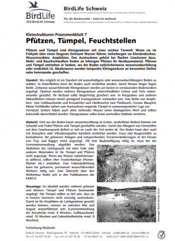 ideenset_dossier4bis8_tiereundpflanzenentdecken_kleinstrukturenpraxismerkblatt7