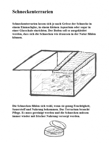 ideenset_dossier4bis8wunschentauschenhandeln_schneckentraining