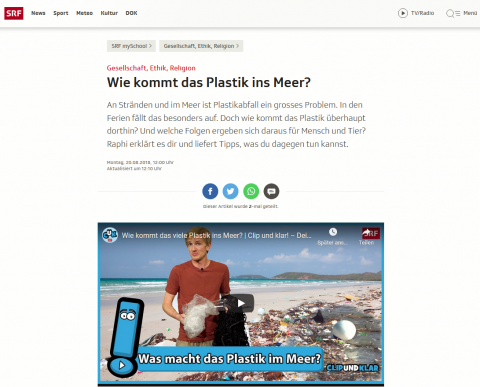 Wie kommt das Plastik ins Meer?