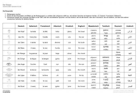 ideenset_mehrsprachenfuralle_diekorperteile