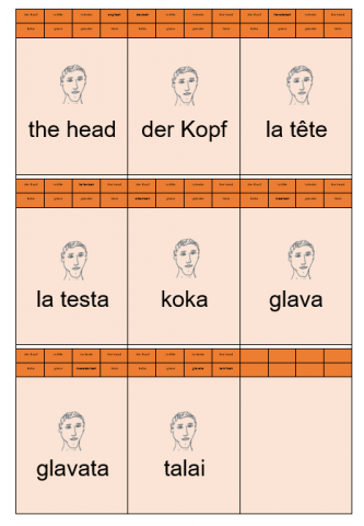 ideenset_mehrsprachenfuralle_diekorperteilequartett