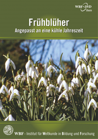 ideenset_fruhlingserwachen_fruhbluherdvd