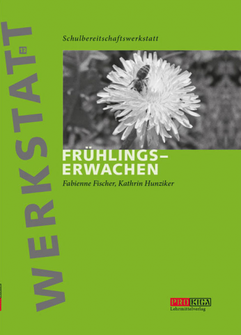 ideenset_fruhlingserwachen_fruhlingserwachenlernwerkstatt