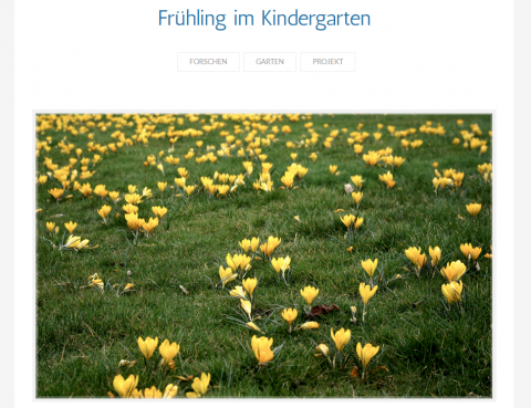 ideenset_fruhlingserwachen_projektfruhlingimkindergarten