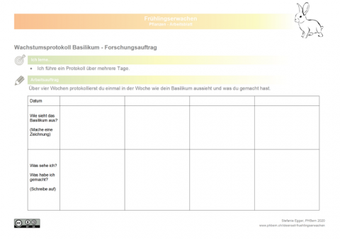 ideenset_fruhlingserwachen_wachstumsprotokollbasilikum