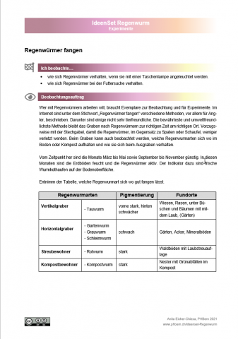 Experiment "Regenwürmer fangen"