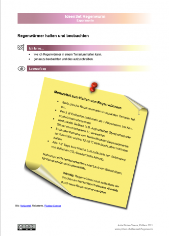 Experiment "Regenwürmer halten und beobachten"