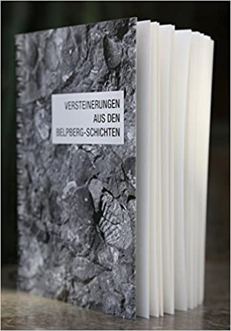 IdeenSet_geomorphologisch_Versteinerungen