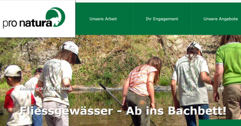 ideenset_dossierweitblick_lebenamundimwasser_fliessgewasserabinsbachbeet