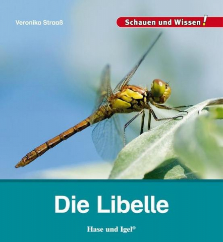 ideenset_weitblick_lebenamundimwasser_dielibelle