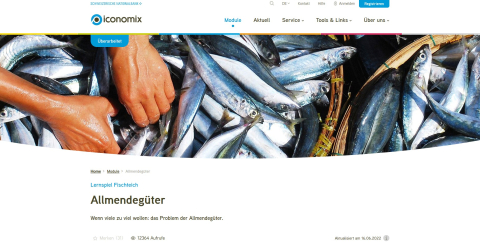 IdeenSet_Weltmeer_Fischteichspiel