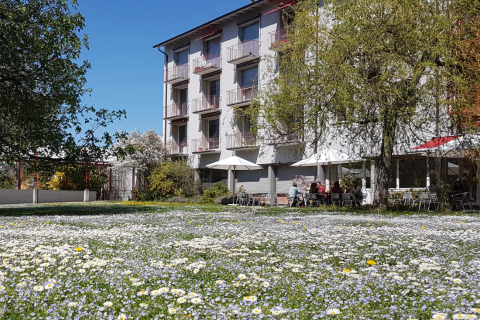 Sommer Camp für Unterrichtende ohne Lehrdiplom