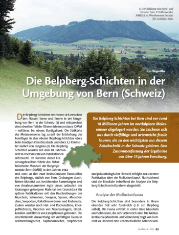 Die Belpbergerschichten