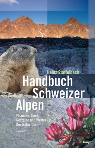 IdeenSet_Alpen_Hintergrundinformation_Handbuch Schweizer Alpen